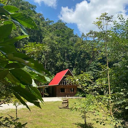 Chale Em Meio A Natureza! Guabiruba Luaran gambar