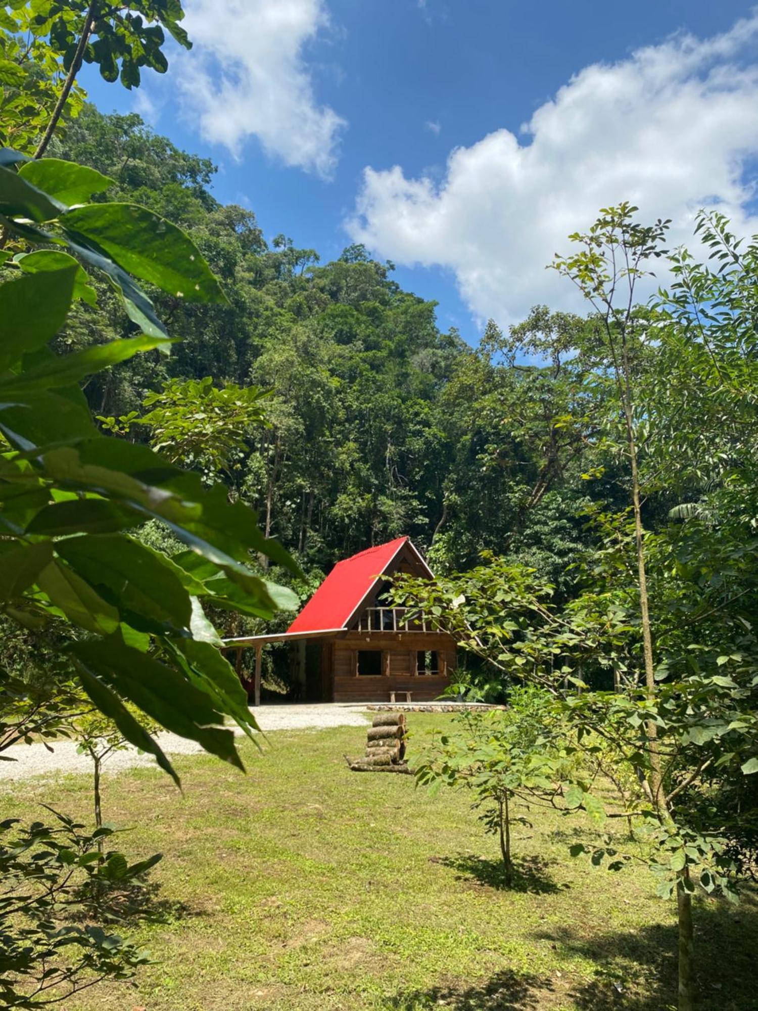 Chale Em Meio A Natureza! Guabiruba Luaran gambar