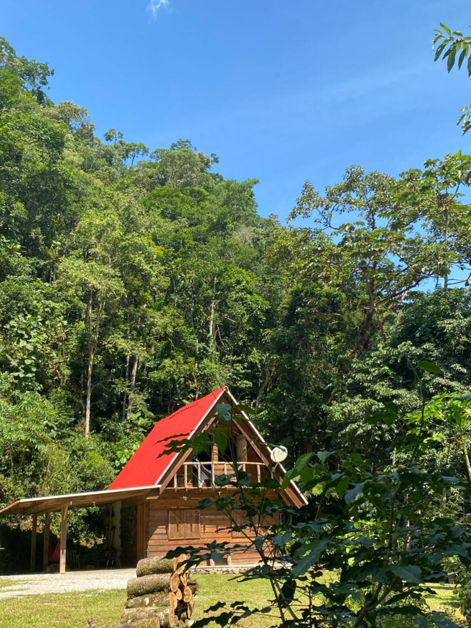 Chale Em Meio A Natureza! Guabiruba Luaran gambar